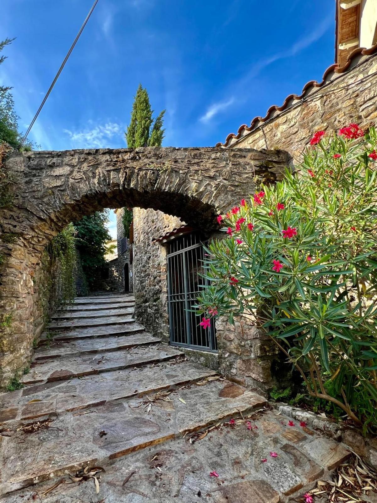 Hotel Moulin Gaillard Bédarieux Exteriér fotografie