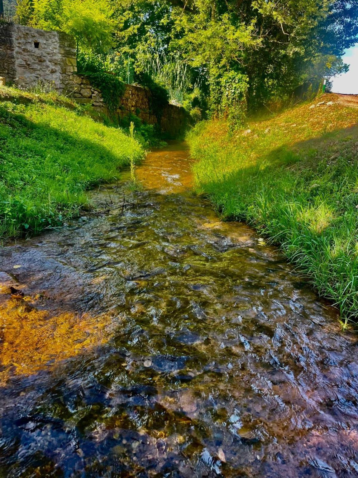 Hotel Moulin Gaillard Bédarieux Exteriér fotografie